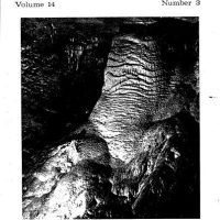 The Availability of Energy in Bat Guano to a Population of Millipedes ----- Volume:14 Number:3