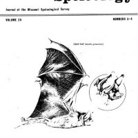 The Gray Bat in Missouri: A Review of the Literature ----- Volume:24 Number:3, 4