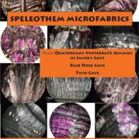 2.  Speleothem Microfabrics.....Volume:67